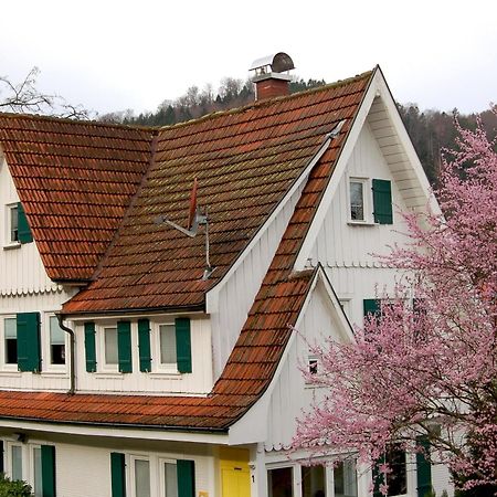 Villa Sophie บัดแฮร์เรนอัลบ์ ภายนอก รูปภาพ