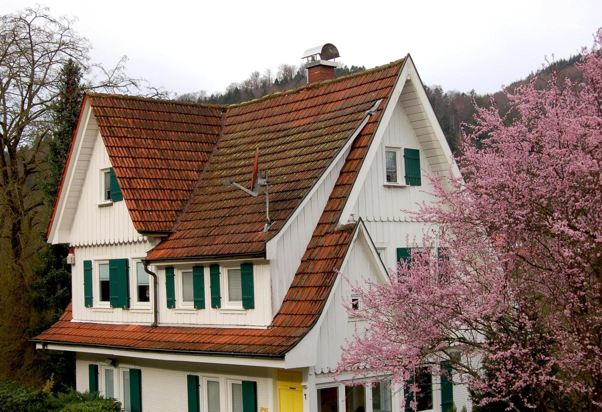 Villa Sophie บัดแฮร์เรนอัลบ์ ภายนอก รูปภาพ